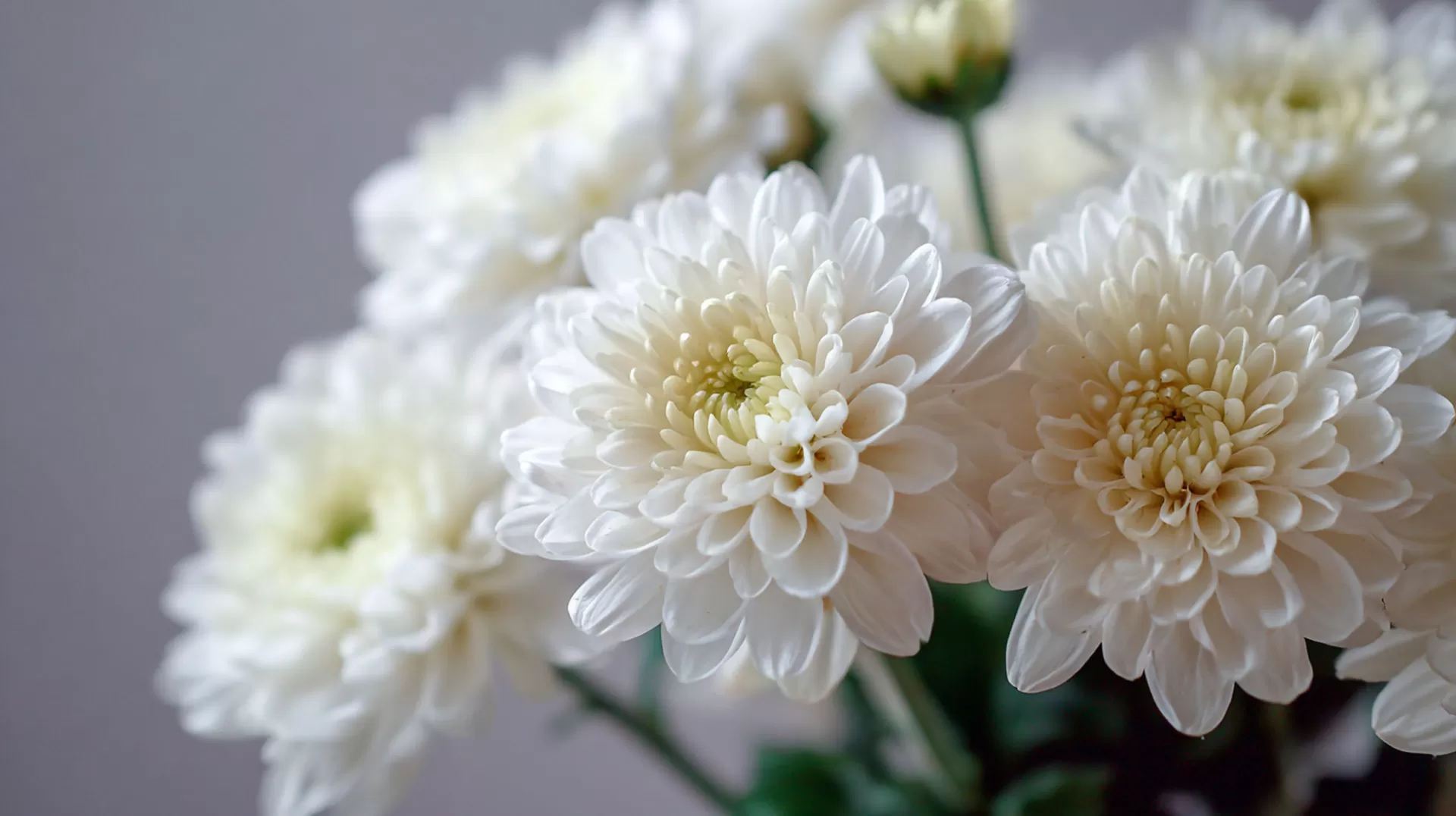 Vicini a voi, con umanità e professionalità.